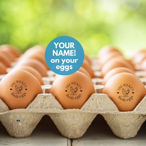 Egg Stamps Custom Personalized Egg Stamp, Chicken Coop Gifts for Farmer, Chicken Egg Stamp, Farm Stamper, Chicken Gifts, Hen Mini Egg Stamp - Etsy