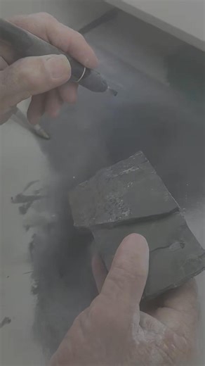 Rare Fossil Alert: Amazingly beautiful and rare 13 mm Modocia laevinucha! This specimen was excavated by Brent, prepared by Gene, and verified by Val Gunther. | U-Dig Fossils