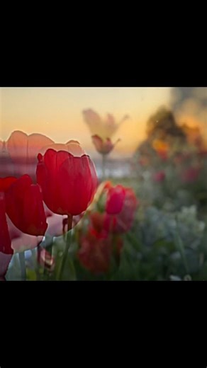 San Francisco #edit #beautiful