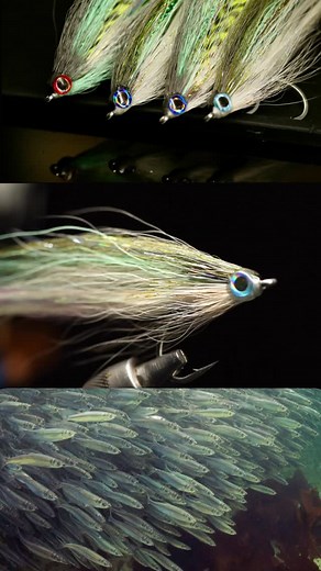 Conor on Instagram: "Nayat and Buck Tail Herring A few techniques employed in this realistic herring for coho and chinook. Make sure to tie these up high on the shank to avoid fouling and force the fly to keel correctly. #flytying #flyfishing #baitfish #cohofly #beachfishing #howto #matchthehatch #herring"