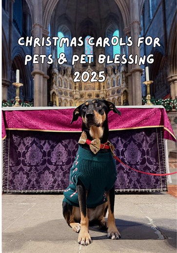 Carols for Pets: A Special Church Service in London