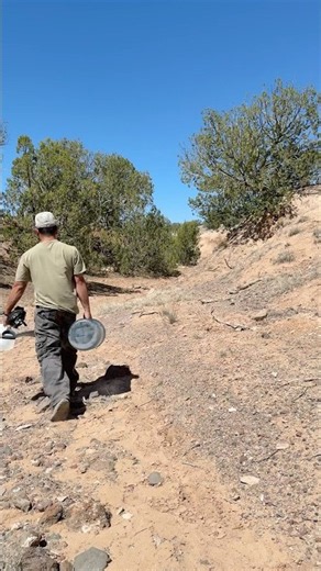 In search of more animal watering holes #wildlife #nature