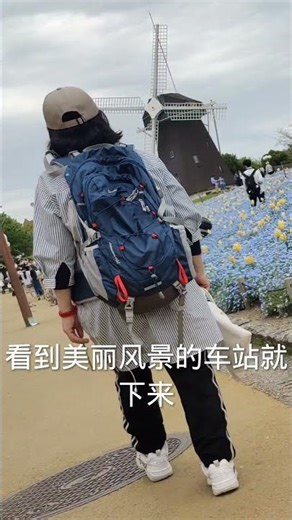 [Strolling through Tsurumi Ryokuchi Line Park] (Nemophila) Springtime Flower Sea Tsurumi Ryokuchi...