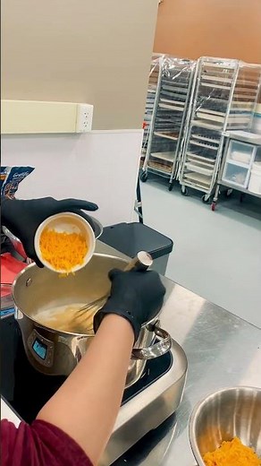 How to Make Beer Cheese Dip with the Breville Control Freak | Savage Bros