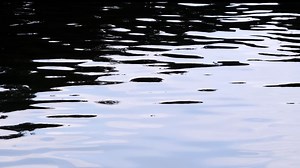 Operator arrested after airboat flips in Florida Everglades, sending several people into the water