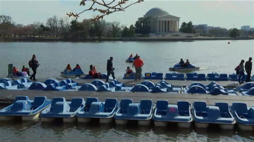 Cherry Blossom Festival celebrates its second annual Petals and Paddles race at the Tidal Basin