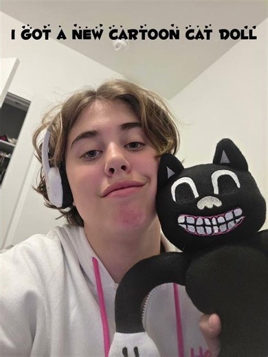 I got a new cartoon cat plush