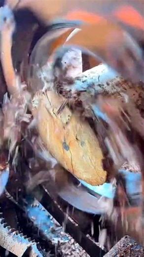 Satisfying Log Peeling #wood #machine