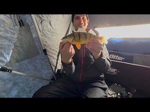 Lake Simcoe First Ice Perch Fishing