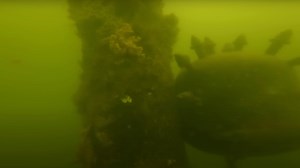 Man advised to call authorities after GoPro makes disturbing discovery when dropped into ocean