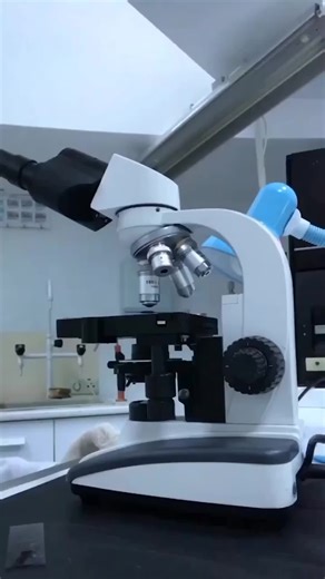 Microscope lovers #microscope #laboratory #scientist #microscopechallenge #lablovers #mltiktok #microbiology #medicalstudent #medical #tiktok #fyp @medical laboratory @Medical laboratory 🔬🧪🦠🧬🩸 @medical laboratory scientist @medical laboratory technician #medical_lab_technician👩‍⚕️💉