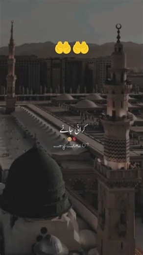 madina Sharif #love #ajmersharif 🤲🤲 2026