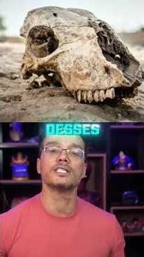 Peter Aqui: prototaxites o fungo incompreendido pela ciência!!!#ciencia #historia #teoria #peteraqui