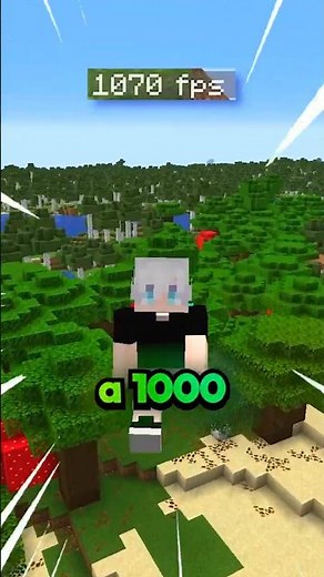 Minecraft FPS mods that actually work