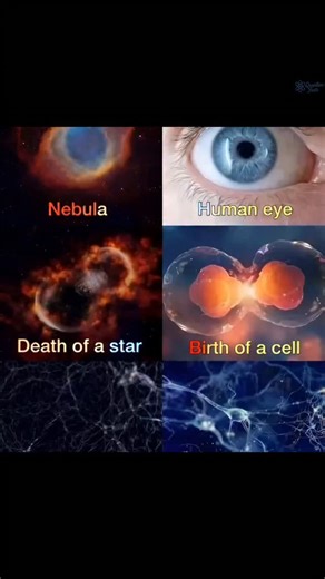 😱 WAS THIS EVER POSSIBLE? SPACE AND LIFE LOOK THE SAME… HOW DID THIS HAPPEN? This image blurs the line between the universe and life itself. A **Nebula** looks like a **Human Eye** watching the cosmos. The **Death of a Star** mirrors the **Birth of a Cell**. Cosmic networks resemble **Brain Cells**, as if the universe thinks, breathes, and connects like us. Is this just coincidence… or is nature repeating the same design at every scale? From galaxies to neurons, from stars to cells — the patter