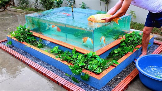 Building a koi pond with infinity glass window