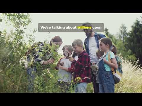 Science: Big Ideas made simple