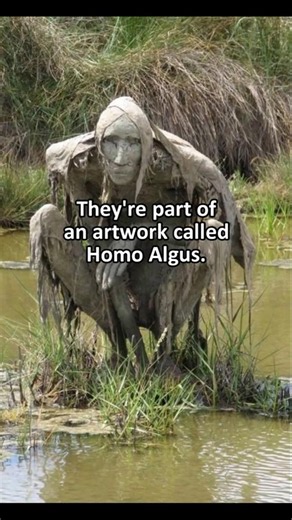 The Artist Who Let Nature Finish Her Work #LivingArt #HomoAlgus #SophiePrestigiacomo