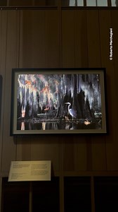 Book your tickets now for Wildlife Photographer of the Year 📸🌏 | Natural History Museum, London