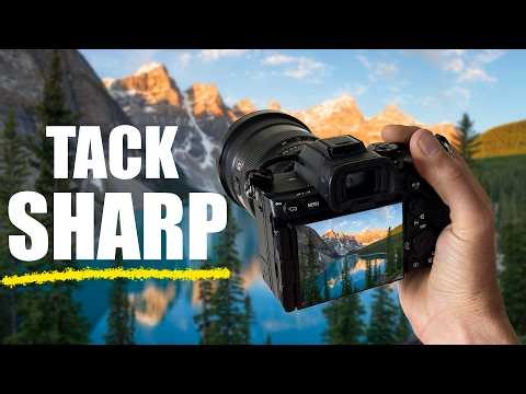 How To Focus Stack (Quick and Easy)