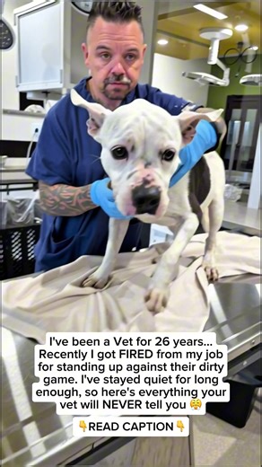 1. If your dog eats poop, you’ll hear about sprays and chews but a few slices of fresh pineapple in their bowl can fix it naturally. It changes the smell of their waste from the inside and helps stop the habit fast. 2. Dragging their buttocks on the carpet? It’s usually not serious. Most of the time it’s just a built-up pressure from digestion. A spoonful of crushed, skinless fresh peach can ease the pressure and support bowel’s health naturally. 3. Constantly eating grass? Feed them a slice of 