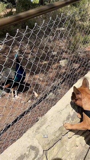 Vidéos de Marine Bnd (@marinebnd) avec son original - Marine Bnd