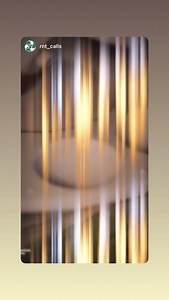 Drake Waterfowl Systems on Reels