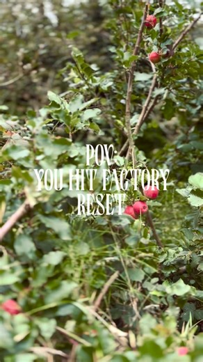 Pottery & Spa Sessions at Redbarn Cavehill Fusing earth, water, wind and fire into one ethereal experience, this session is designed as a full reset for mind, body and soul. Ground yourself with clay, creating clay altars, nestled in our studio at the foot of Cavehill, followed by lunch and an uplifting wild spa session; sauna, cold plunge and hot tub. Upcoming sessions: Sunday 1st February - celebrate Imbolc with us! ☀️ Saturday 14th March -Mothers day weekend Saturday 21st March - spring equin