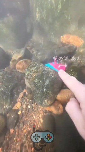 9.2K views · 143 reactions | Free Diving 鉶 #freediving #Logic_Academ | Logic Academy | Facebook