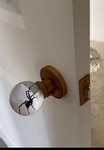 DIY Black Widow Resin Doorknob Art