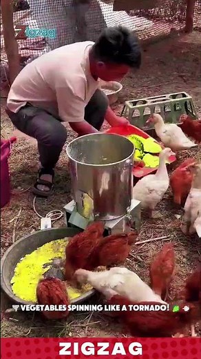 Automated Vegetable Chopper Innovation for Rapid Livestock Feed Preparation