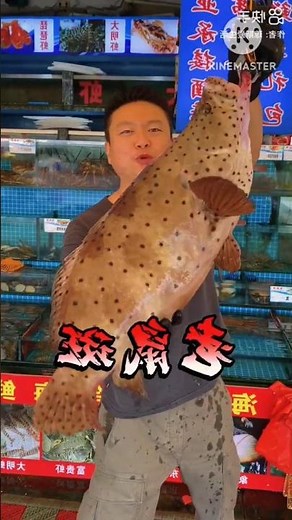 Wow, Huge 14Kg King Grouper Fish Fast Cutting and Cooking for Dinner l 😍 l #shorts #viralfishcutting
