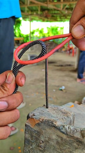 This Knot = Magic 🪢 #Tricks #Viral #Shorts