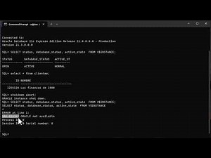 Como subir la instancia al tener los errores ORACLE ORA-01034 y ORA-01219
