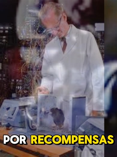 Explicando em 1 minuto #fyp #viral_video #psicologia