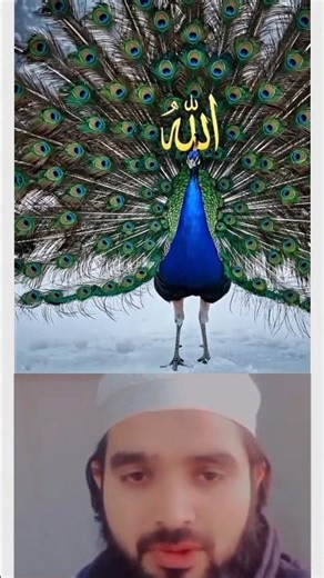 Allah Almighty has made his creatures very beautiful #viral #shorts