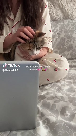 Catgirl Cream Filling Animation Emergency Alert Meme