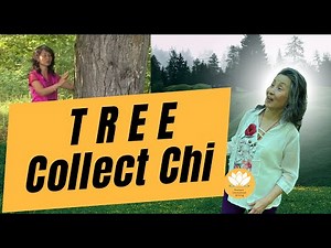 5 Minute Introduction to Qi Gong Tree Pose (Zhan Zhuang) - Standing Meditation