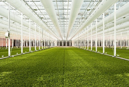 Our Greenhouses - Revol Greens