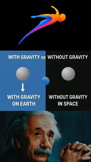 What If There Was No Gravity? 🌍🚀 | Ninja Physics #shorts