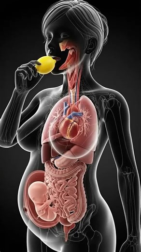 Explore the incredible design of the human body through this anatomy video, where structure meets function. From bones and muscles to organs and systems, this visual journey reveals how every part works together to keep us alive and moving. A deeper look at human anatomy helps us understand health, disease, and the science behind everyday life. Hashtags: #HumanAnatomy #AnatomyVideo #HumanBody #MedicalEducation #AnatomyLearning