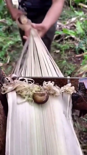 Splitting Banana Stems Into Fine Fibers With Professional Manual Techniques