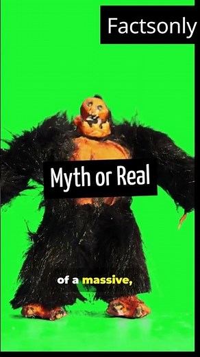 Sasquatch: Mythical Legend or Hidden Reality