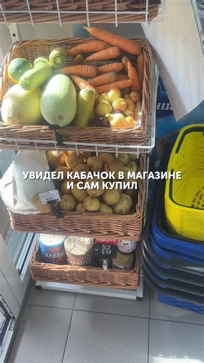 Зашел в магазин, машет хвостом у входа: думаю, что он там увидел?🧐 Он встал у прилавка с овощами и пританцовывает уже)) Дальше мы уже сняли🤩 #голден_тедечка #золотистыйретривер #голден