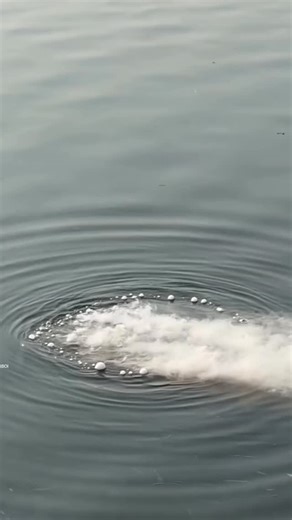 Cracker Boi on Instagram: "Sky spinner under water 🤯💦 #fireworks💥 #crackers💥 #experiment #pyro #fireworks"
