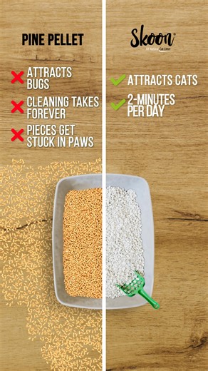 Odor-Free Home Exceptional ammonia control keeps your space fresh and clean. 🚫 Low Tracking, Less Mess No more litter trails across your floors. Pebbles stay where they belong. ✅ Simple to Use, Easy to Clean Non-clumping, lightweight, and hassle-free, even with multiple litter boxes. 💛 Loved by Real Cat Parents Thousands of 5-star reviews prove it. Once you try Skoon, you won’t go back. ⭐️⭐️⭐️⭐️⭐️ “Best cat litter! Easy cleanup and no smell at all. I’ve tried so many brands, and this one reall