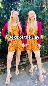 Harp Twins 🙄Joke of the Day😂