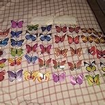 LED Butterfly Night Lights, 20Pcs 3D Glowing Butterfly Decoration Light Colorful Wall Stickers Light for Bedroom, Garden, Backyard, Lawn, Party, Living Room Decor with Randomly Different Color (20)