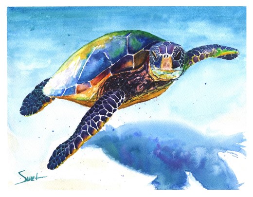 Sea Turtle Watercolor Art Print - Ocean Animal Wall Decor - Etsy UK