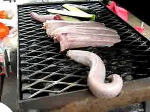 Rattlesnake grill